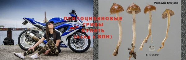 Альфа ПВП Михайловка