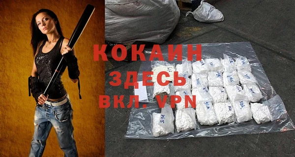 шишки Костерёво