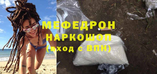индика Надым