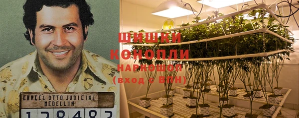 MESCALINE Майский