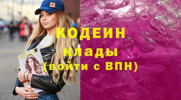 индика Корсаков