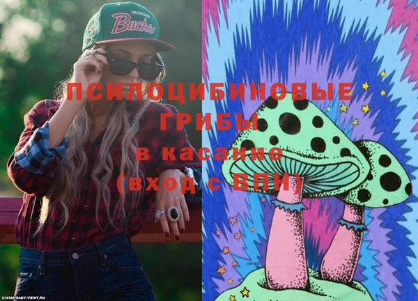 шишки Костерёво