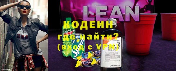 шишки Костерёво