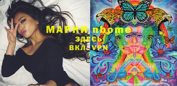 индика Корсаков