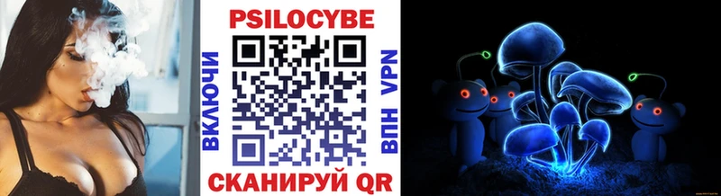 Псилоцибиновые грибы Cubensis  Красавино 